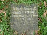 image of grave number 233148